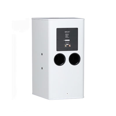 Loa A-Audio GOLD1 – Loa HiFi Cao Cấp Công Suất 300W RMS - Hình ảnh 2