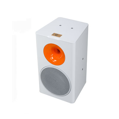 Loa A-Audio GOLD1 – Loa HiFi Cao Cấp Công Suất 300W RMS - Hình ảnh 3